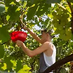 Agritur Al Vigneto Bed & Breakfast 3*