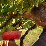 Agritur Al Vigneto Bed & Breakfast Trento