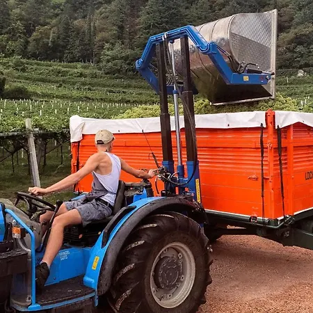 Agritur Al Vigneto ベッド・アンド・ブレックファスト トレント
