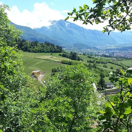 Agritur Al Vigneto 3*