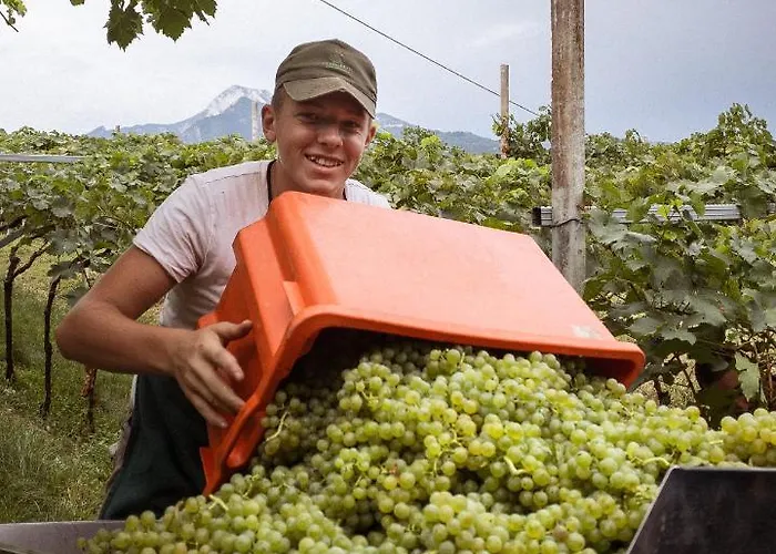 住宿加早餐酒店 阿格里图维奈托旅馆 3*