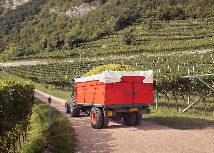 住宿加早餐酒店 阿格里图维奈托旅馆 3*