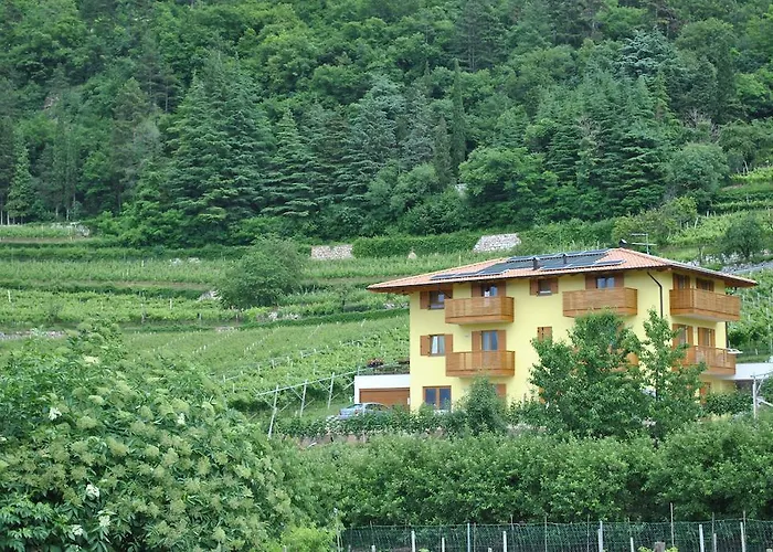 阿格里图维奈托旅馆 住宿加早餐酒店