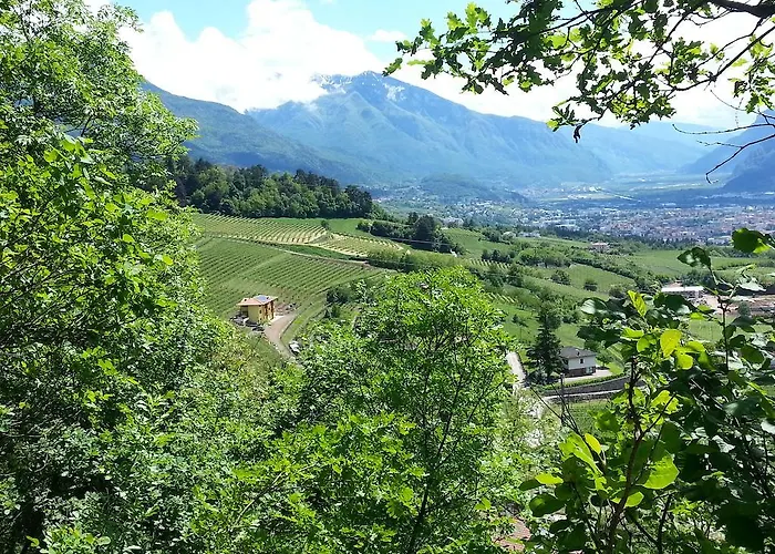 Agritur Al Vigneto 3*